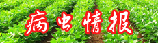 �����鱨