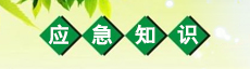 Ӧ��֪ʶ